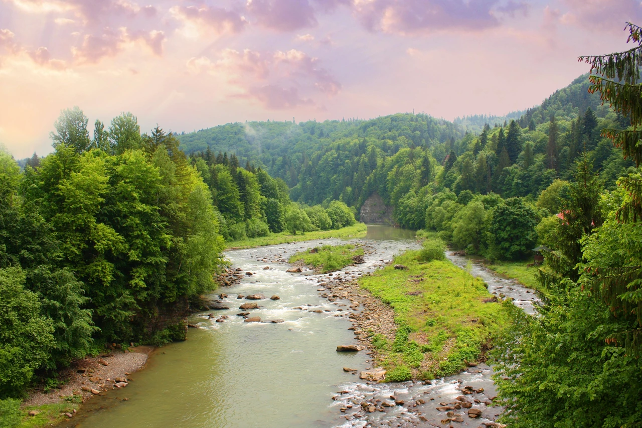 Куди поїхати в Карпати взимку: курорти, ціни та реальні сценарії